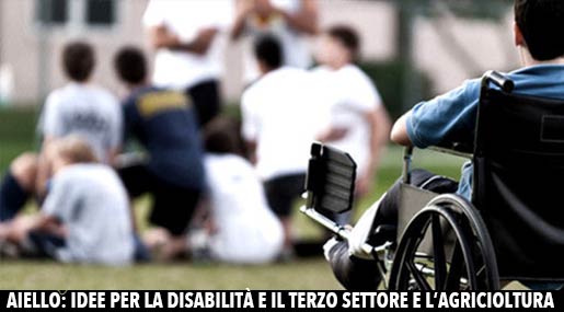 Disabilità in Calabria