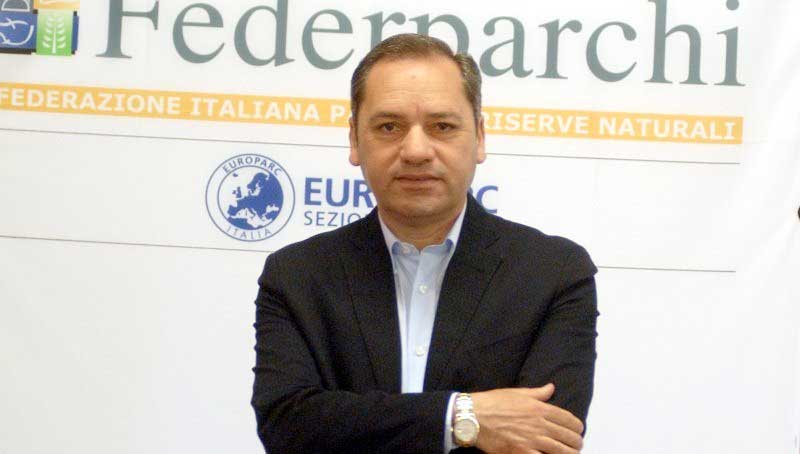 Domenico Pappaterra
