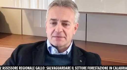 Gianluca Gallo