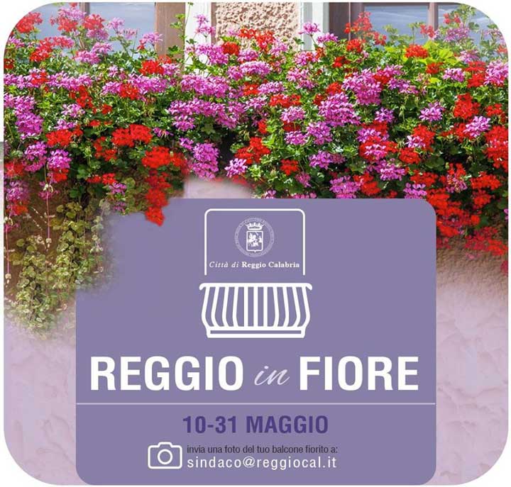 Reggio in fiore