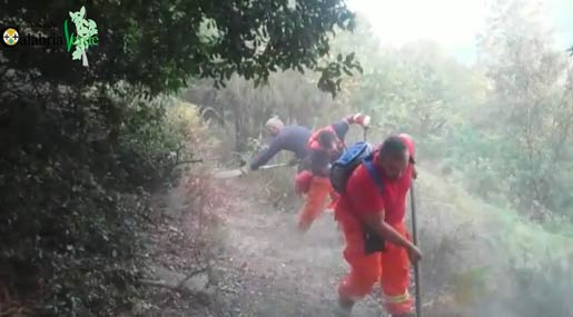 Il personale di Calabria Verde al lavoro contro gli incendi boschivi