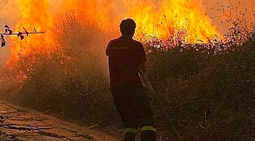 Un vigile del fuoco lotta contro le fiamme in Aspromonte