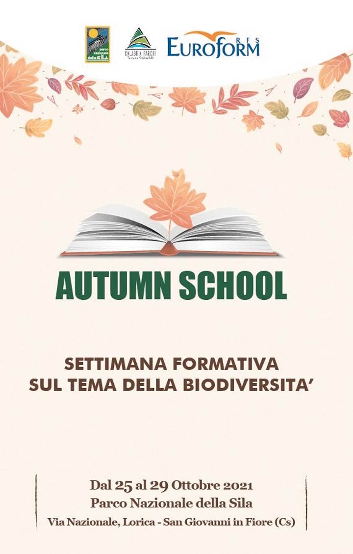 Autumn School