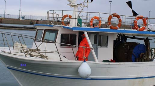 Il Comitato Pescatori Calabria a Occhiuto: Convochi gli Stati Generali della Pesca calabrese