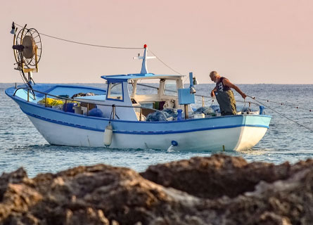 Pesca nel Mediterraneo