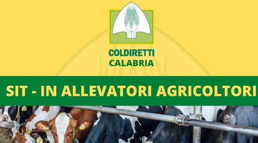 A Cosenza, Reggio e Catanzaro agricoltori e allevatori scendono in piazza contro il caro energia