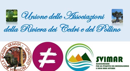 L'Unione delle Associazioni della Riviera dei Cedri e il Forum Disuguaglianze e Disabilità a confronto su Alta Velocità e Pnrr
