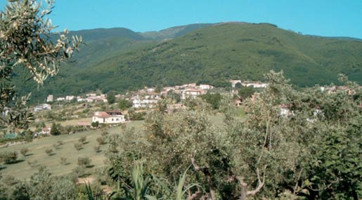 Da un libro può nascere una storia di crescita e sviluppo della nostra Calabria