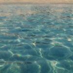 Il presidente di Alleanza Ecologica Tommasi: Il mare della Calabria necessita di bonifica