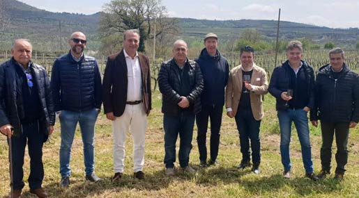 I grandi vini di Magna Graecia nascono e si producono sul Pollino e in Sila