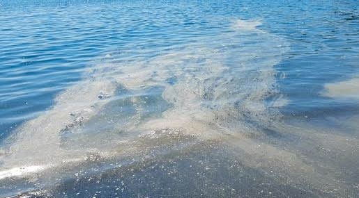 Italia Nostra - Alto Tirreno Cosentino: I sindaci della costa convochino i consigli comunali per il mare sporco