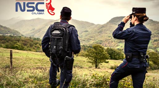 NSC Calabria: I nostri Carabinieri forestali trattati come la "Cenerentola dell'Arma"