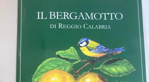 Salviamo la fabbrica dei Derivati del Bergamotto di Reggio di Arenella
