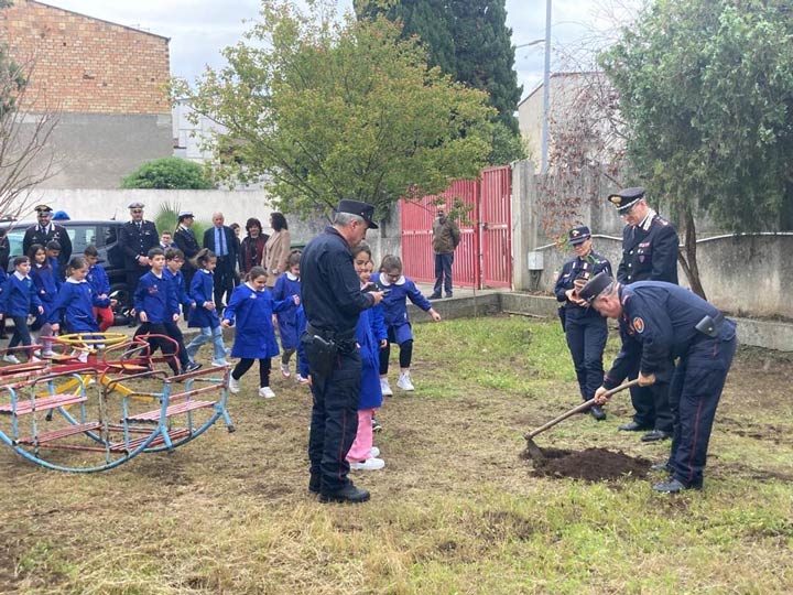 All'IC Paolo VI Campanella donato l'Albero di Falcone