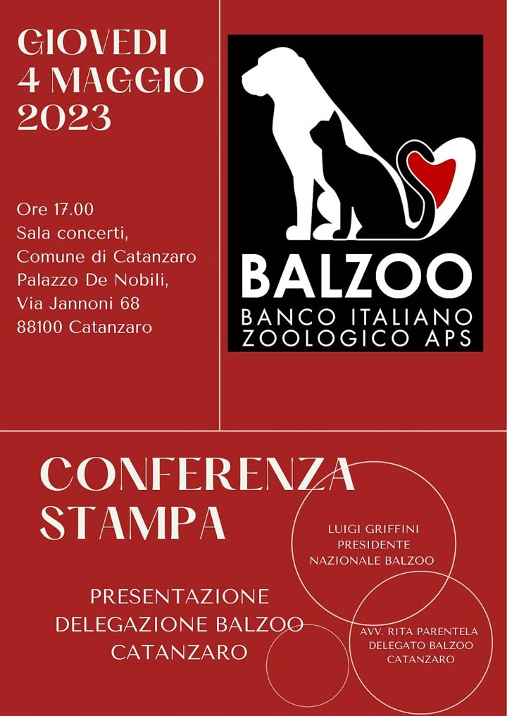 Giovedì l'Associazione Balzoo si presenta alla città di Catanzaro