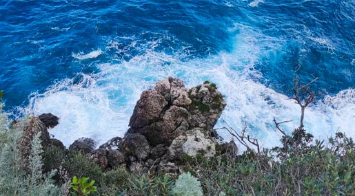 Giornata mondiale degli Oceani, la Calabria e l’Arpacal faranno la loro parte per la tutela del mare