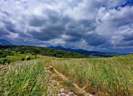 Tutela di ambiente e paesaggio in Calabria