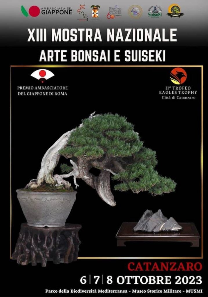 A Catanzaro la mostra nazionale Arte Bonsai e Suiseki