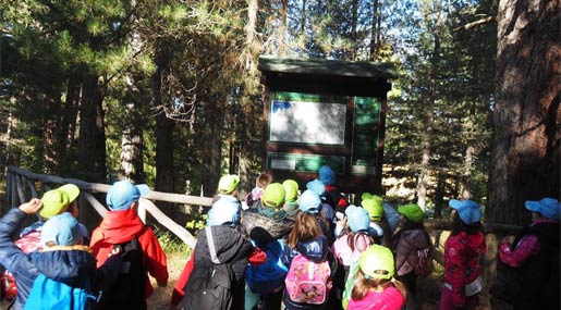 Con "A scuola nel parco" i bambini custodi del Parco Nazionale della Sila