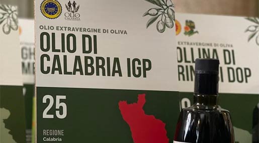 Il Consorzio dell'Olio Igp Calabria a Roma col ministro Lollobrigida per il fattore "Ig"