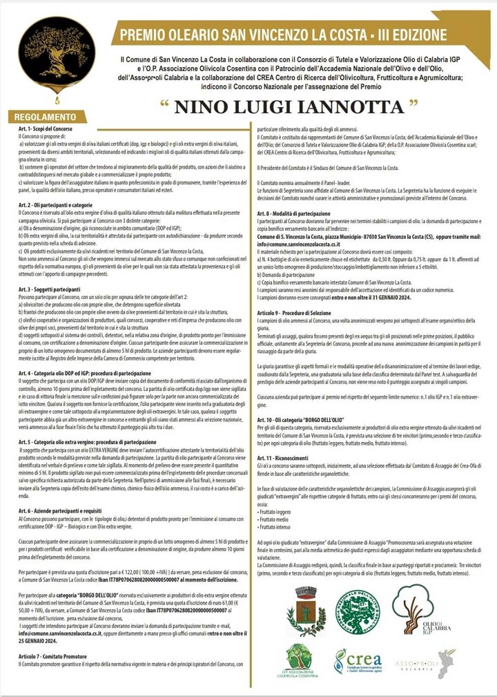 A San Vincenzo La Costa il concorso nazionale per il Premio "Nino Luigi Iannotta"