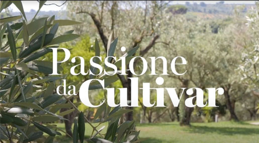 "Passione da cultivar", il docuspot ideato e realizzato dal Consorzio Olio di Calabria Igp