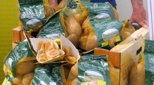Coldiretti: In Calabria 1624 aziende che coltivano patate