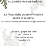 Lunedì il workshop sulle piante officinali e spezie locali