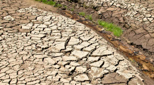 Legambiente Calabria: In Calabria dati allarmanti su crisi climatica, ognuno faccia propria parte