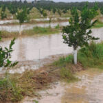 «NON È MALTEMPO, MA CRISI CLIMATICA» LA CALABRIA TRA EMERGENZA E URGENZA