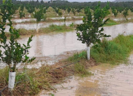 «NON È MALTEMPO, MA CRISI CLIMATICA» LA CALABRIA TRA EMERGENZA E URGENZA