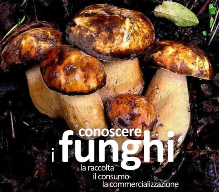 A Camigliatello Silano il convegno sulla prevenzione da intossicazioni da funghi