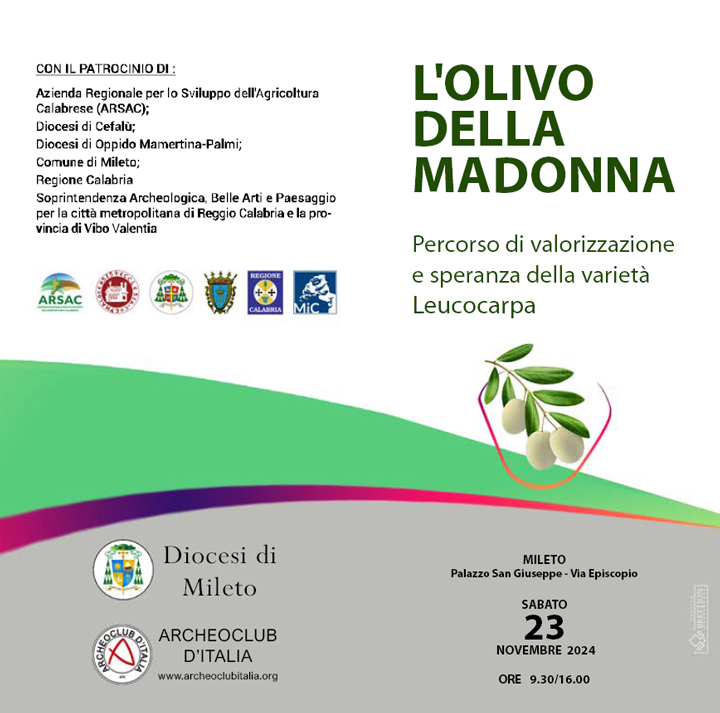 Sabato il convegno su "L'olivo della madonna"