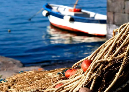 QUANDO IL PERICOLO VIENE DAL MARE: ALLARME DI GREENPEACE SU CONTAMINAZIONE