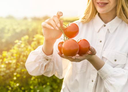 Agricoltura biologica: la Calabria ai primi posti in Italia