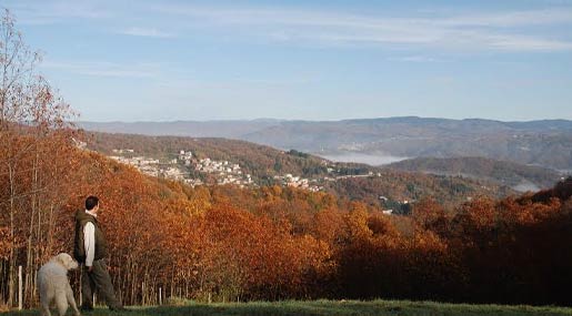 Lo scrittore e ambientalista Bevilacqua: Istituire area protetta nell'area Reventino e Mancuso