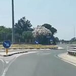 LA REPLICA / Pietro Sergi: SS 106, riaprire dibattito sulla Bovalino-Bagnara