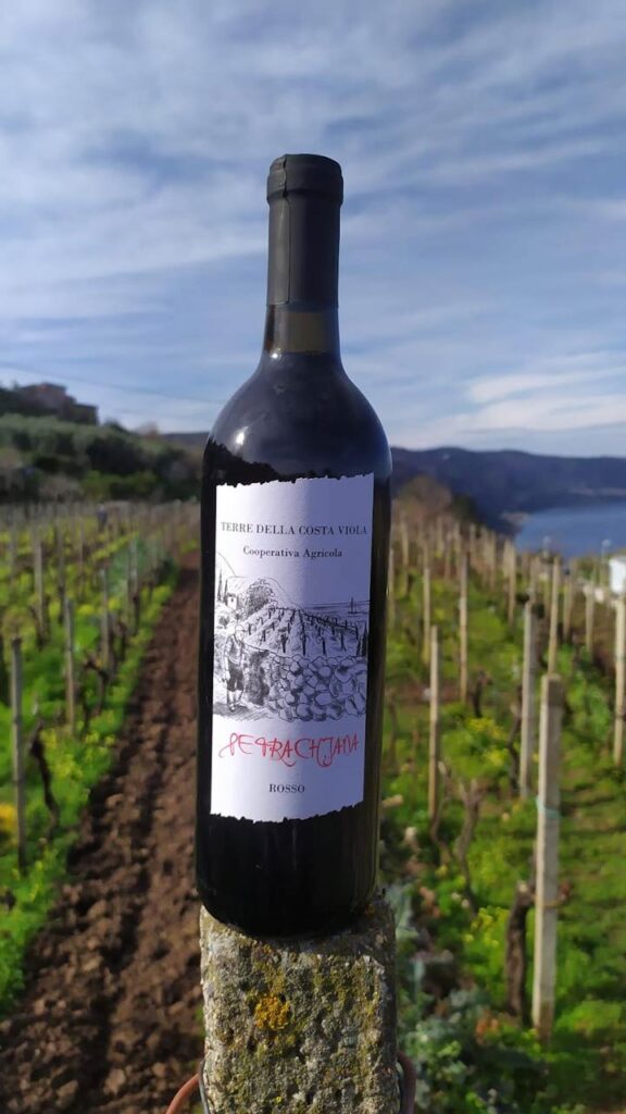 Petrachjana, il nuovo prodotto identitario della Costa Viola