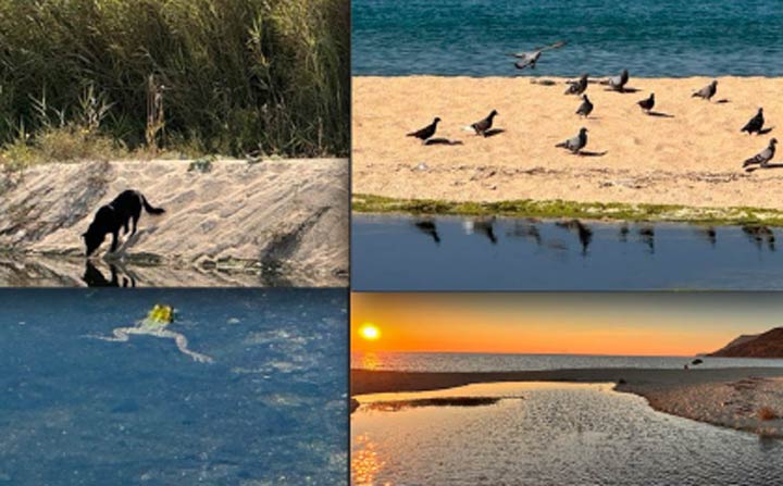 La Pro Loco di Nicotera: Concluso biorisanamento torrente San Giovanni